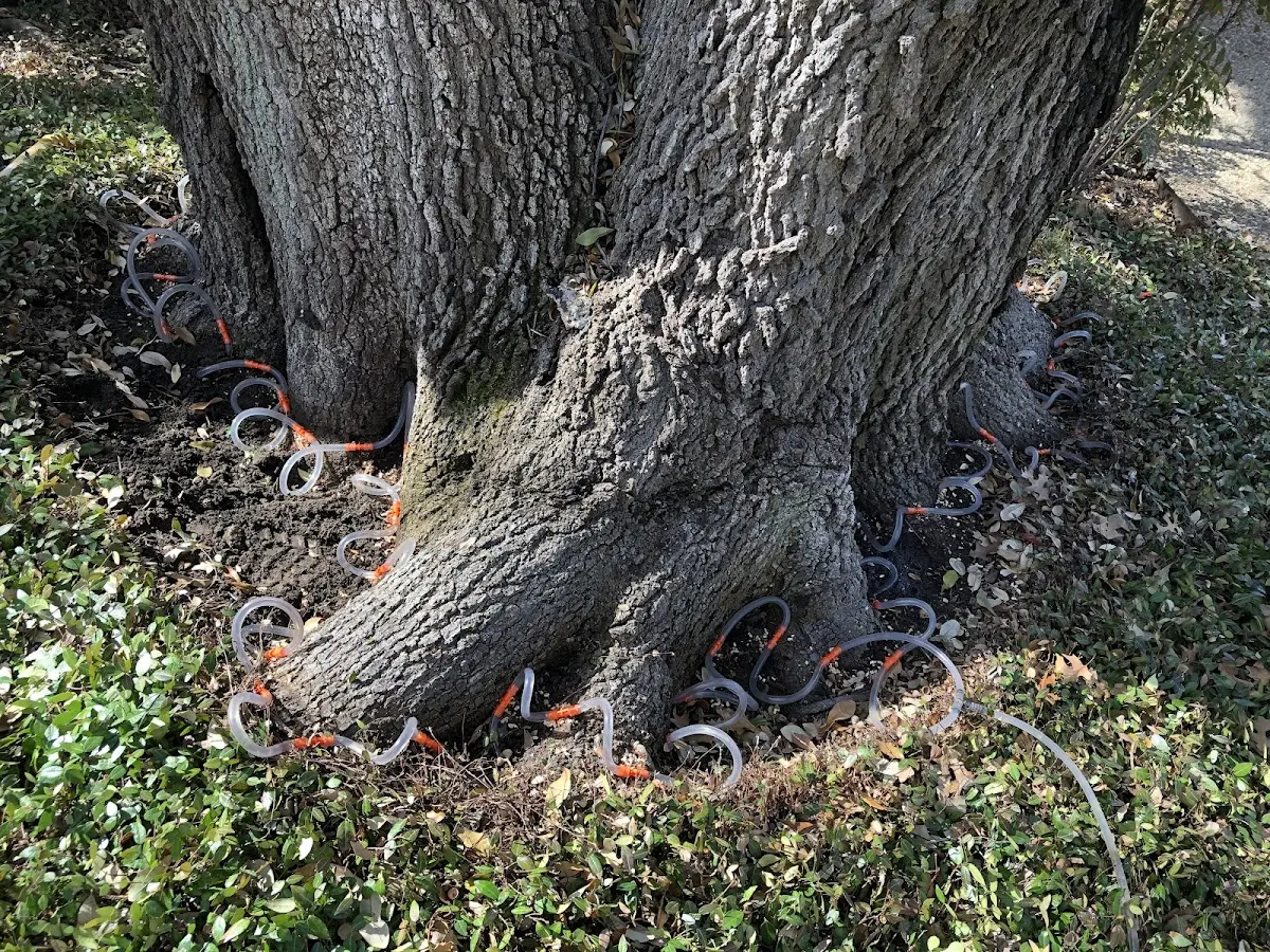 Detailed Shrub and Hedge Trimming job site in Lower Peach Tree