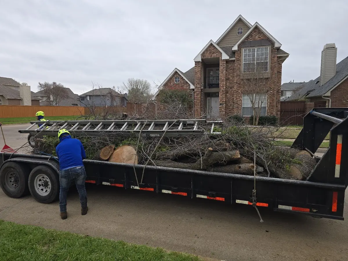Expert Crown Reduction with proper safety equipment in Lower Peach Tree